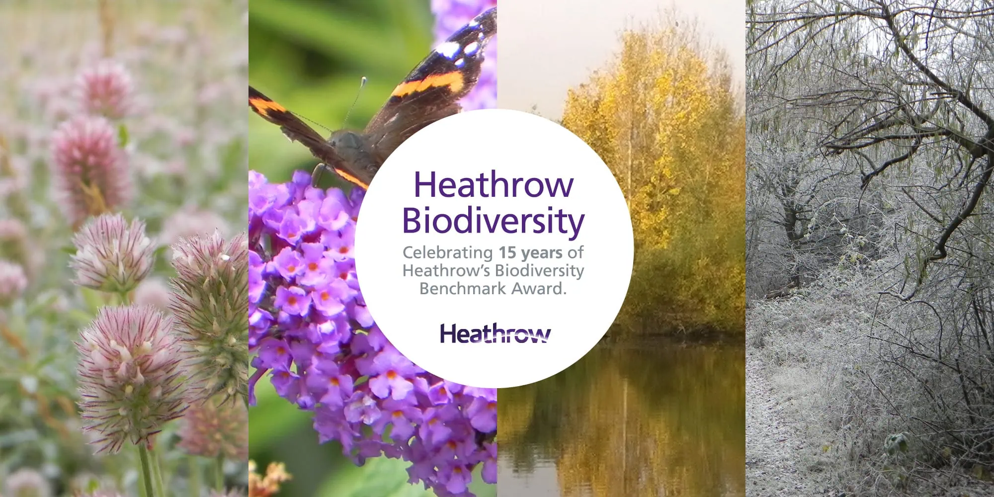 A four-panel image showcasing biodiversity at Heathrow, with vibrant close-ups of clover flowers, a butterfly on buddleia, a serene autumnal pond, and a frost-covered winter scene. Central text reads, "Heathrow Biodiversity: Celebrating 15 years of Heathrow’s Biodiversity Benchmark Award."