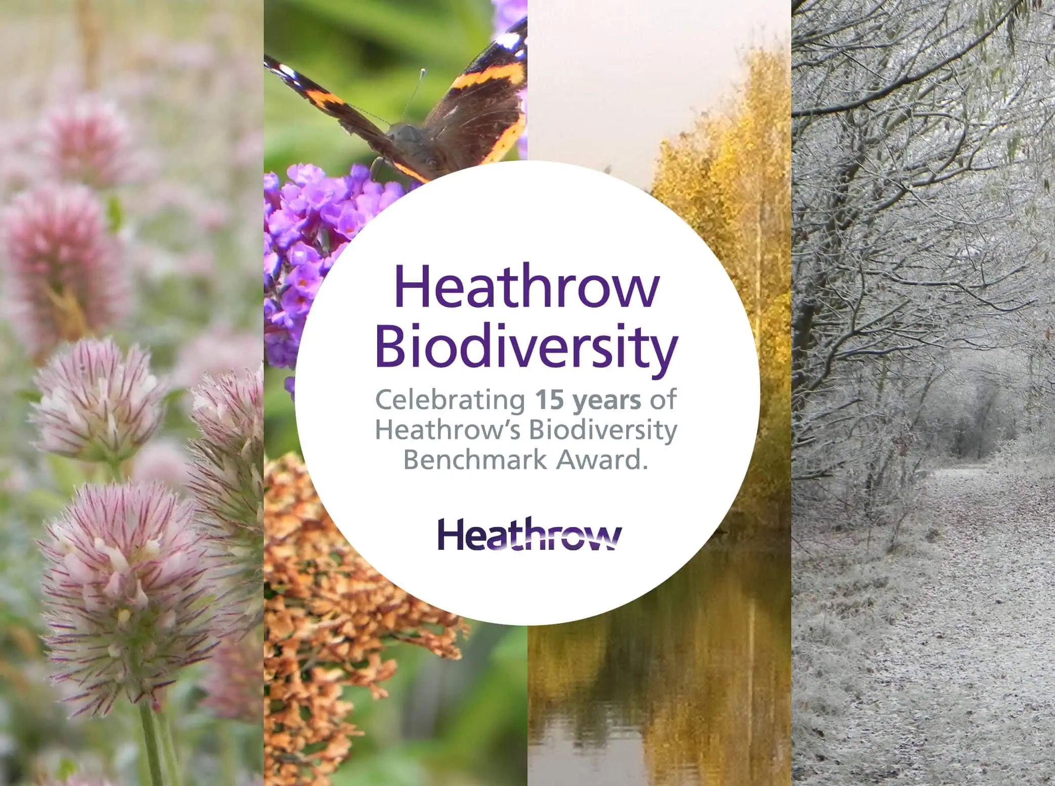Thumbnail for “Heathrow Biodiversity”. The design is split into four vertical panels, each depicting a different season or natural scene: vibrant flowers in bloom, a butterfly on a flower, autumn leaves by a river, and a frosty winter path. In the centre, a white circular overlay contains the text “Heathrow Biodiversity” with a subtitle “Celebrating 15 years of Heathrow’s Biodiversity Benchmark Award.” The Heathrow logo is displayed below the text.