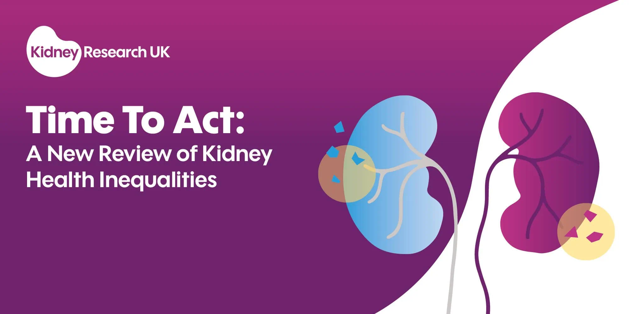 Kidney Research UK report cover titled 'Time To Act: A New Review of Kidney Health Inequalities,' featuring an illustration of two kidneys against a purple gradient background.