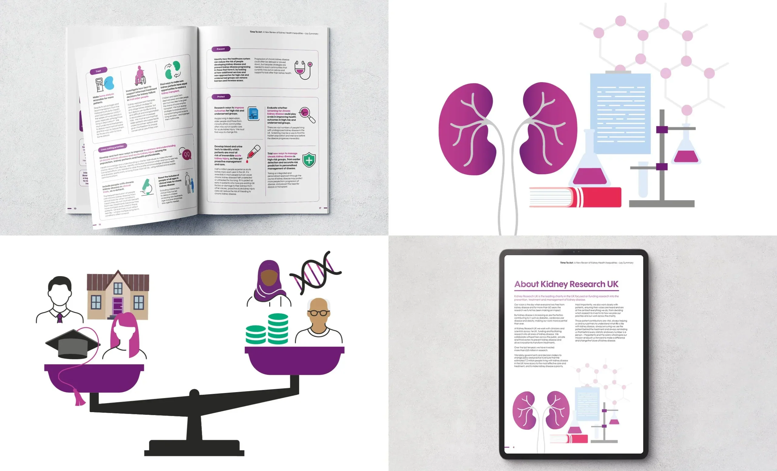 The image is split into 4 sections. Top Left: An open spread from the Kidney Research UK report, showcasing infographics, icons, and concise text explaining kidney health inequalities and their impacts. Top Right: Illustrations of kidneys, a document, and scientific equipment like a test tube and molecule model. Bottom Left: A graphic of a balancing scale, comparing education, housing, and financial resources to healthcare, genetic, and community needs. Bottom Right: The report displayed on a tablet, featuring the "About Kidney Research UK" section with accompanying illustrations and text.