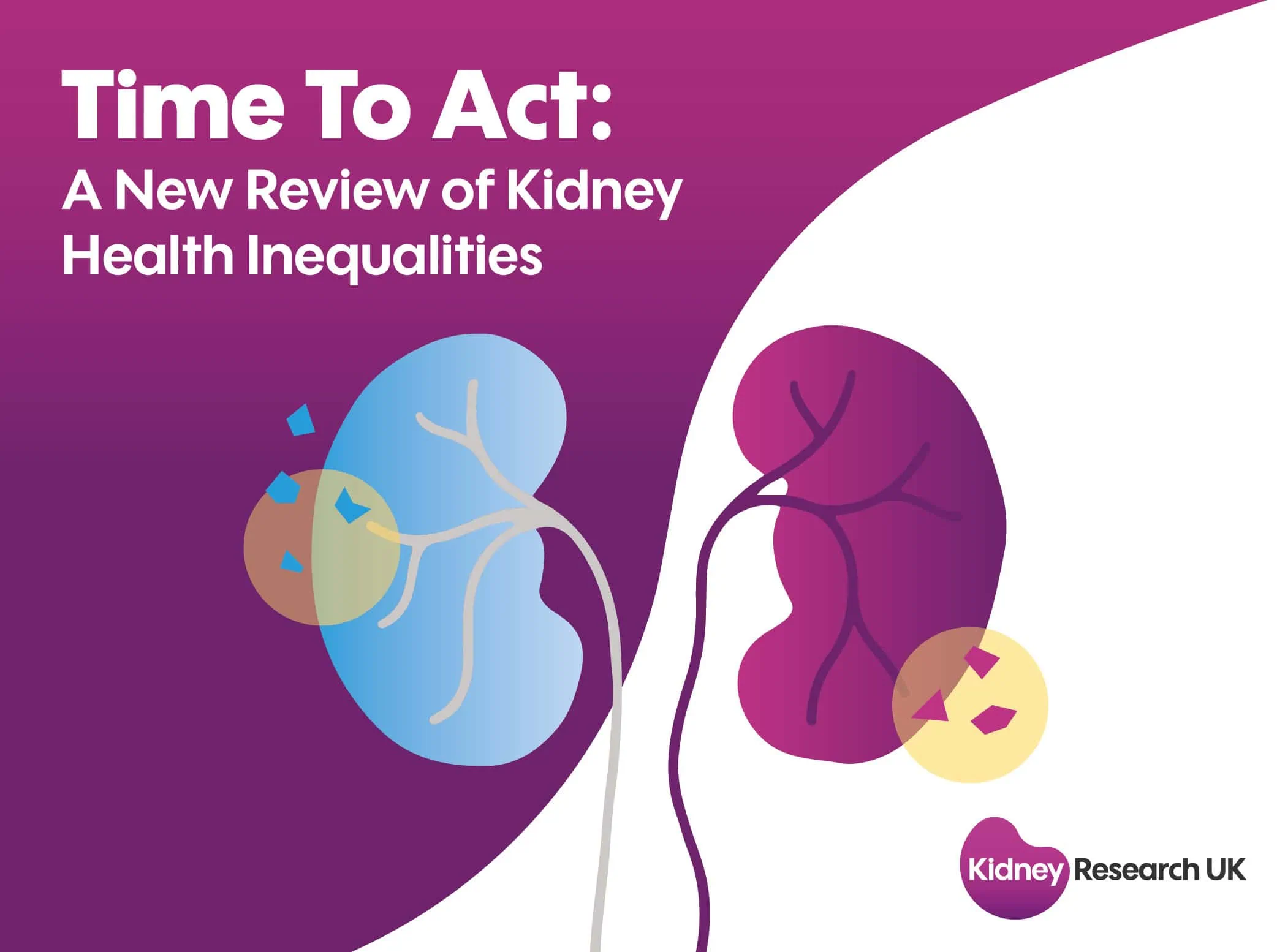 Thumbnail for a report titled “Time To Act: A New Review of Kidney Health Inequalities” for Kidney Research UK. It features a stylised illustration of two kidneys, one in blue and the other in purple, with abstract shapes indicating areas of concern or damage. The background has a gradient of purple shades, with the Kidney Research UK logo in the bottom right corner.
