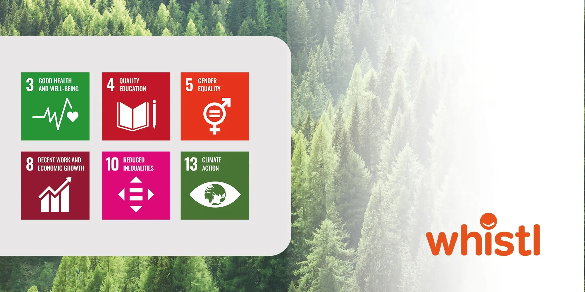 A graphic showing six UN Sustainable Development Goals, and features a green forest backdrop with the Whistl logo.