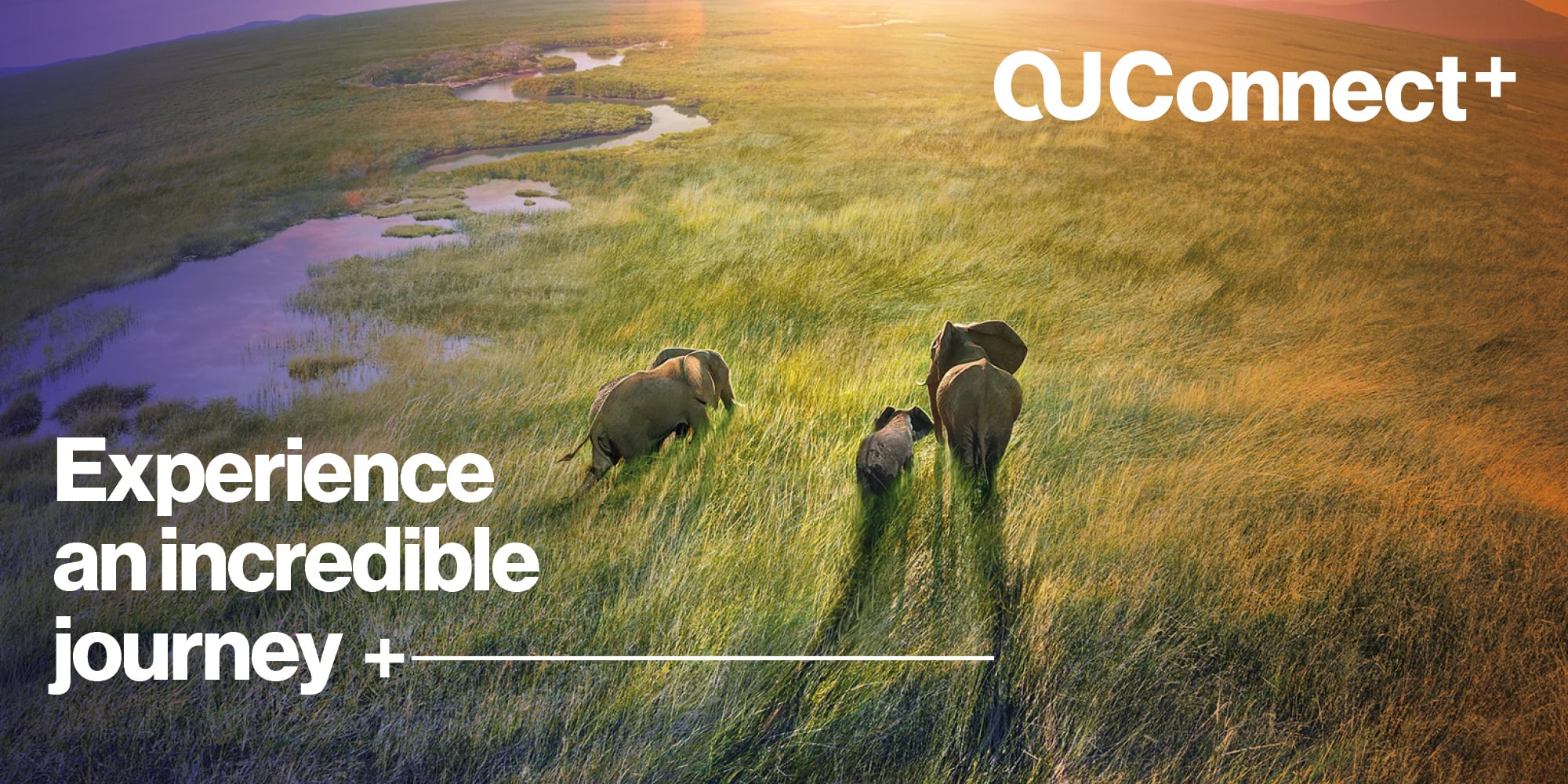OUConnect – Brand Identity — project image 1