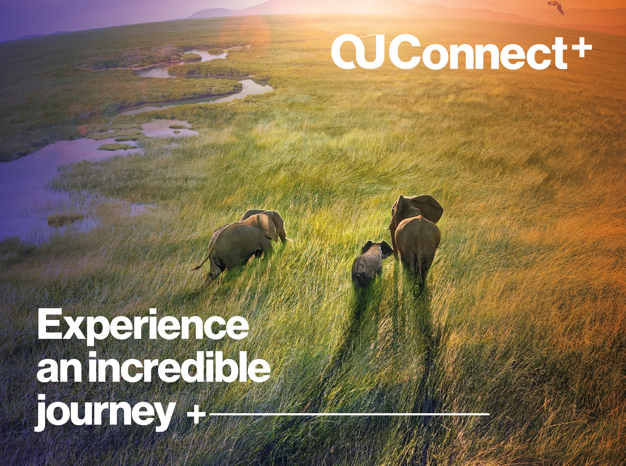 OUConnect – Brand Identity