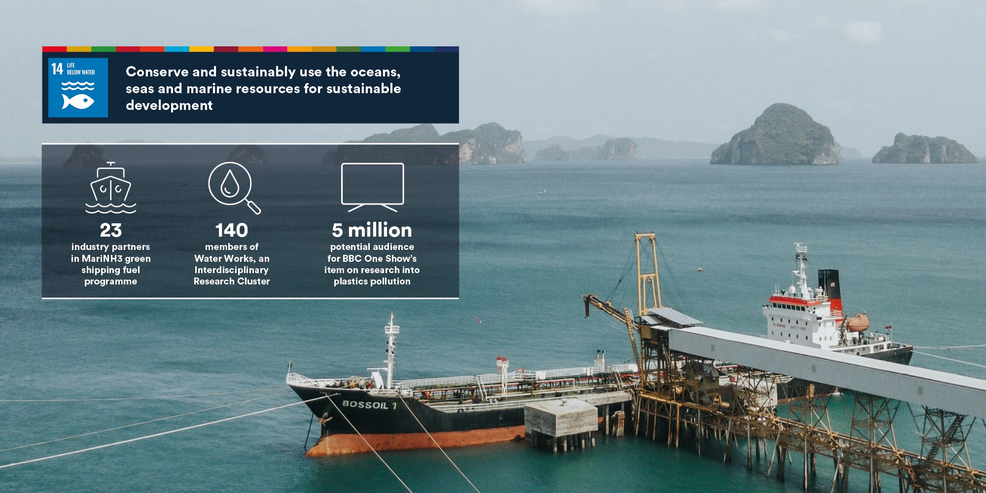 University of Nottingham – SDG Annual Report — project image 3