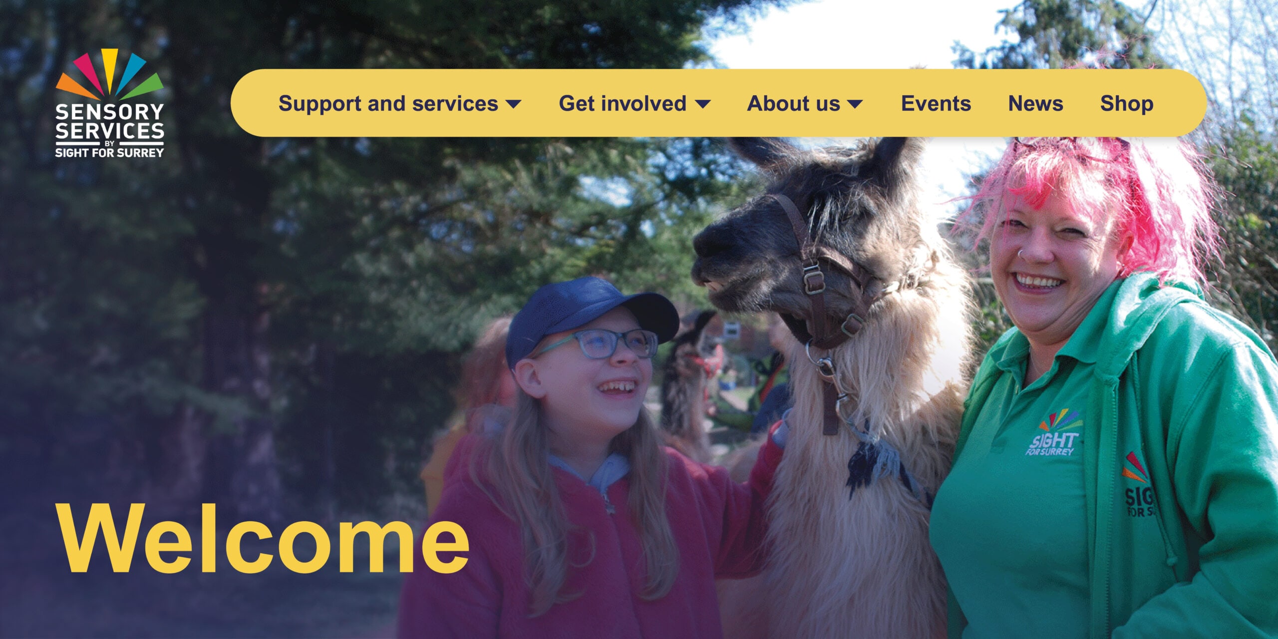 Sensory Services by Sight for Surrey – Accessible Website — project image 1