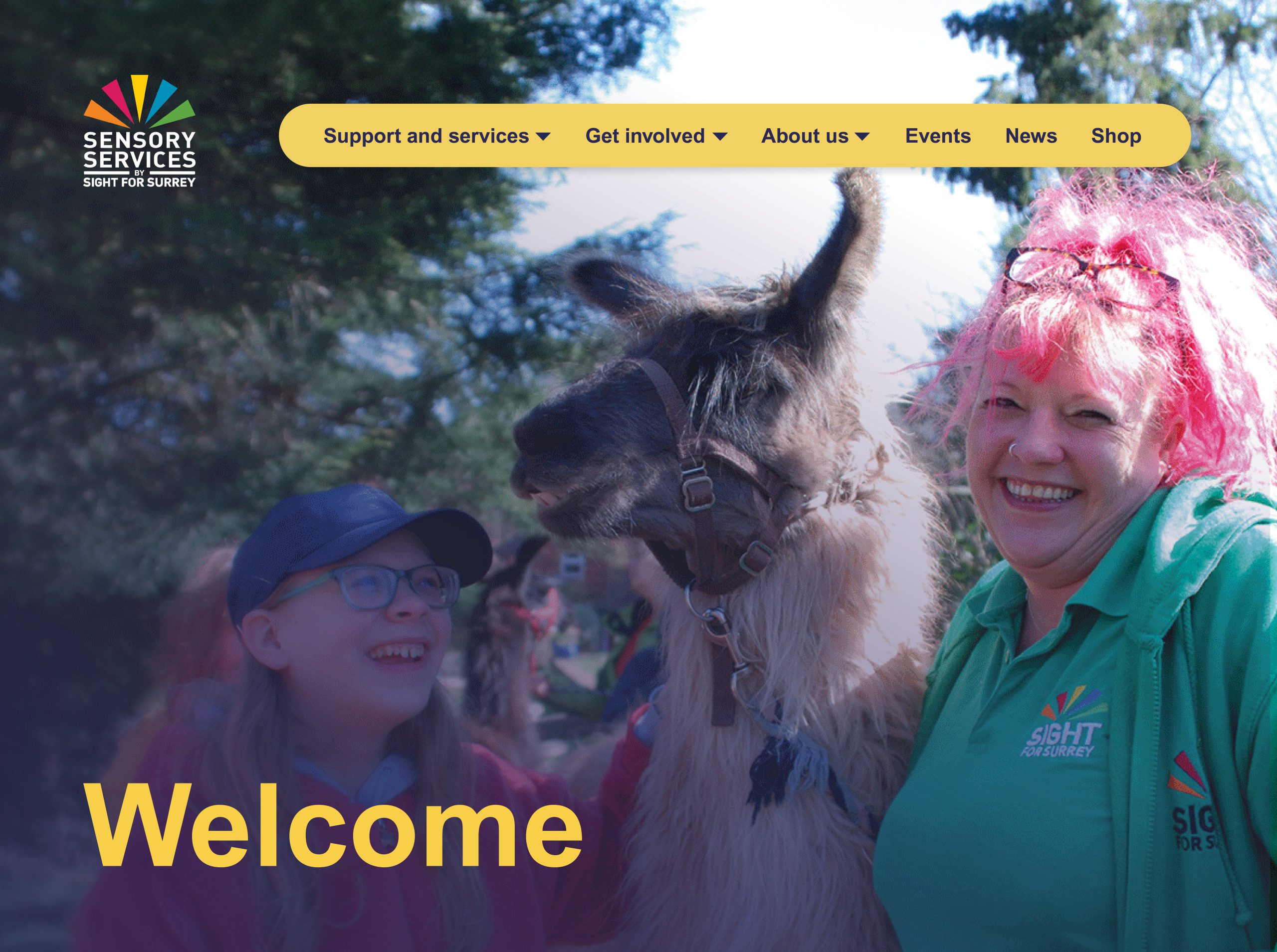 Sensory Services by Sight for Surrey - Accessible Website